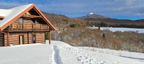 a log cabin in the snow with a mountain in the background at Apartamenty komu gloria in Wetlina