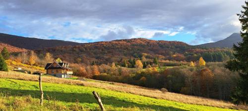 a house on a hill in the middle of a field at Apartamenty komu gloria in Wetlina