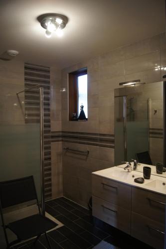 a bathroom with a sink and a shower and a mirror at La Maison de Rochebois, chambres et table d'hôtes, Savoie, France in Champagneux