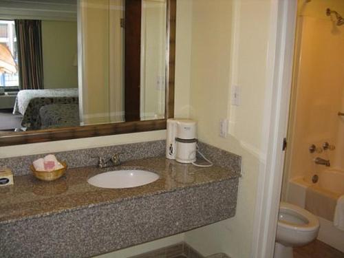 a bathroom with a sink and a toilet and a mirror at Walking Horse Lodge in Lewisburg