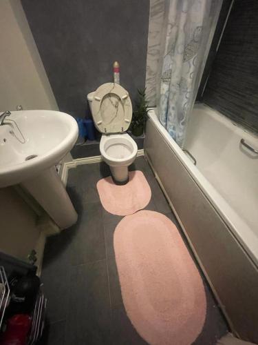 a bathroom with a toilet and a sink and a tub at Homestay in Waltham Abbey