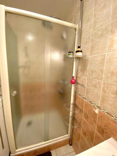 une douche avec une porte vitrée dans une salle de bain dans l'établissement Appartement proche Gare, à Saint-Julien-en-Genevois