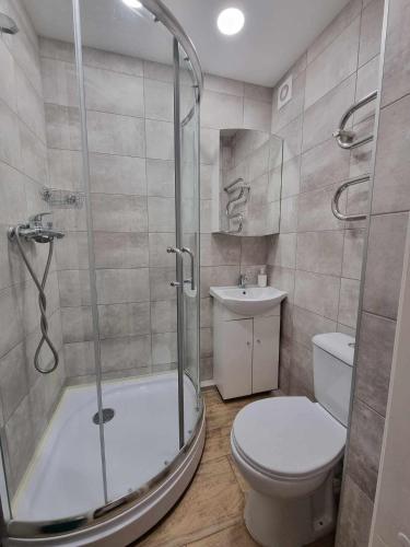 a bathroom with a shower and a toilet and a sink at Old town in Mažeikiai