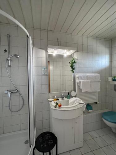多貝爾的住宿－海蒂膳食公寓，白色的浴室设有水槽和淋浴。