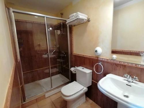 a bathroom with a shower and a toilet and a sink at La Quintana de Villar in Arriondas