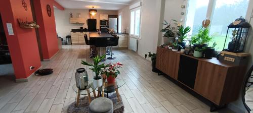 a living room filled with lots of potted plants at Ty Mouk - proche centre ville et plages in Crozon