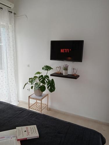 TV a/nebo společenská místnost v ubytování Rose Apartments Mesonghi