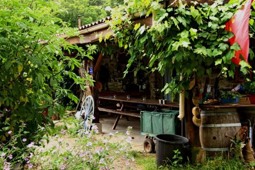a house with a bench in a garden at Ferme Les Thérondels in Saint-Pons-de-Thomières