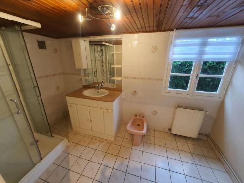 a bathroom with a sink and a toilet and a shower at La Maison d'Utah in Sainte-Marie-du-Mont