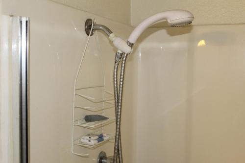 a shower with a shower head in a bathroom at Laura Lodge in Coalinga