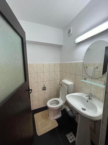 a bathroom with a toilet and a sink and a mirror at Apartament de 3 camere zona Obcini in Suceava