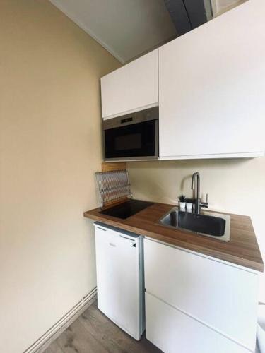 une cuisine avec un évier et un micro-ondes dans l'établissement Studio 4 cœur de ville, à Besançon