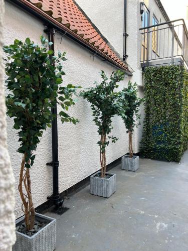 three potted trees in pots next to a building at Apartment 10, Plants Yard, Bridge Street. in Worksop