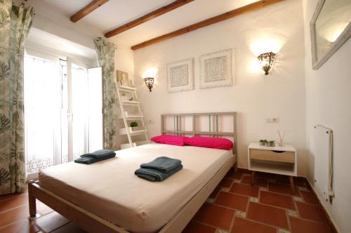 Livingtarifa Drago