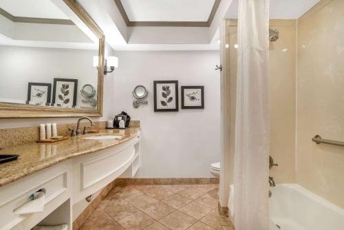 y baño con lavabo y ducha. en Country Inn & Suites by Radisson, Metairie New Orleans , LA, en Metairie