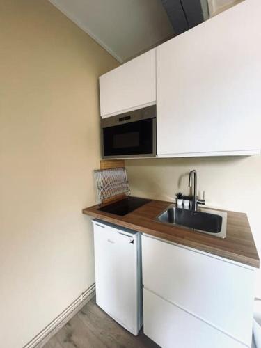 une cuisine avec un évier et un micro-ondes dans l'établissement Studio centre-ville 13, à Besançon