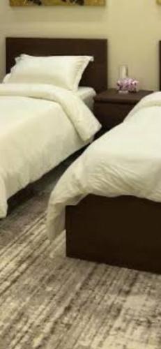 Llit o llits en una habitació de شقق فندقية العريش