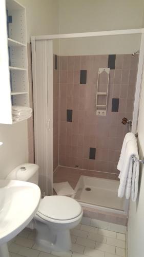 サン・ピエール・ド・シャルトルーズにあるHotel Victoriaのバスルーム(トイレ、洗面台、シャワー付)