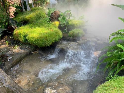 un arroyo de agua en un jardín con plantas en Baan Pingkan Wellness Resort, en San Kamphaeng