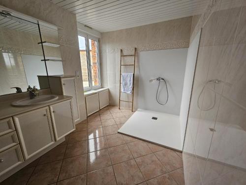 La salle de bains est pourvue d'une douche, d'un lavabo et d'un miroir. dans l'établissement L'Ecrin - L'Améthyste, à Châteaubriant