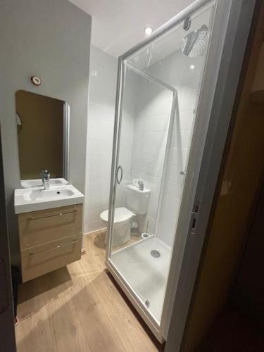 La salle de bains est pourvue d'une douche, de toilettes et d'un lavabo. dans l'établissement Studio boucle 7, à Besançon