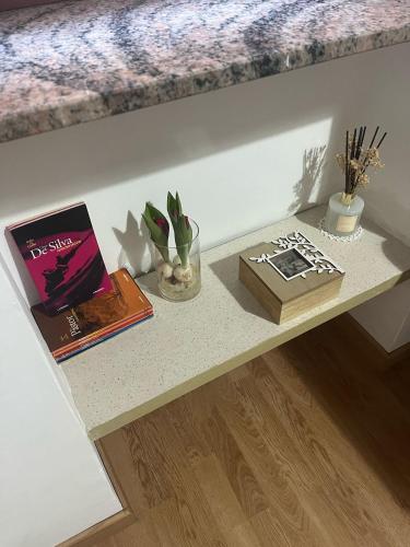 a table with books and plants on it at Casa vacanze Il Pugnalone in Acquapendente