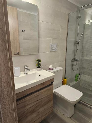 Cosy Apartment in The Heart of The City