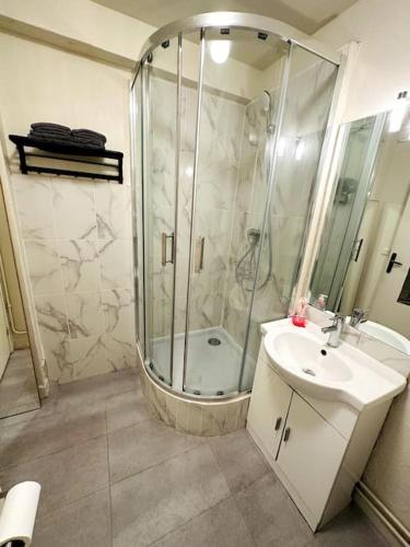a bathroom with a shower and a sink at Appartement 2 pièces in Malakoff