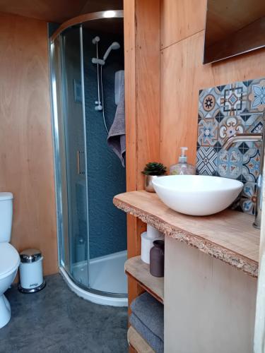 a bathroom with a sink and a shower at Sunny Mount Shepherd's Hut in Long Marton
