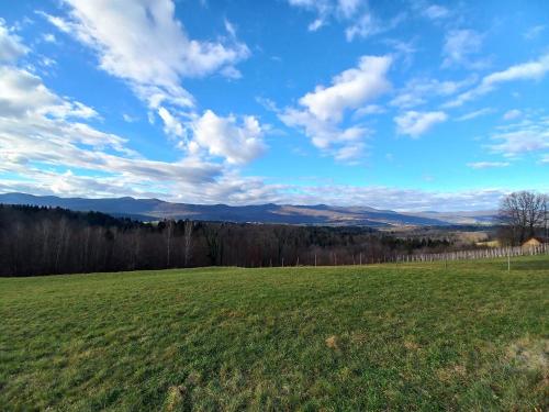 a field of green grass with a blue sky and clouds at Vineyard Cottage Maleric with Pool Access in Dragatuš