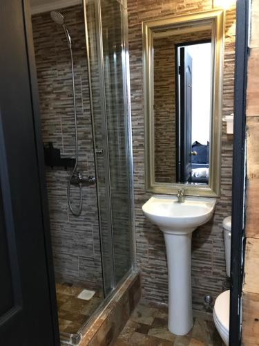 a bathroom with a sink and a shower at Tremo Bellas Artes in Santiago