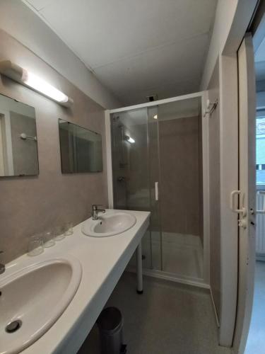 y baño con lavabo y ducha. en Hôtel Labat en Orthez