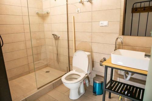 Gudauri loft Apartments #417 في Kʼumlistsʼikhe: حمام مع مرحاض ودش ومغسلة