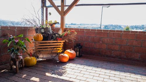 a bunch of pumpkins sitting on a patio at Penzion pod Kraví horou in Bořetice