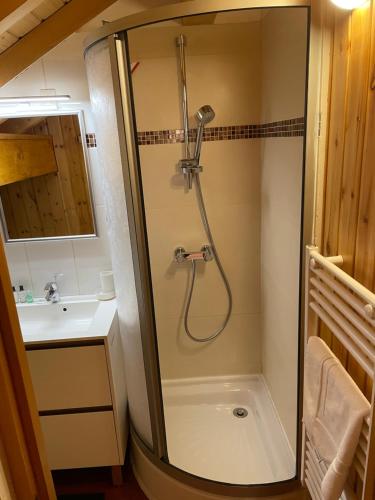 une salle de bain avec douche et lavabo dans l'établissement PLEIN SUD AMBIANCE CHALET, à Valloire
