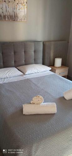 Cosy Apartment in The Heart of The City