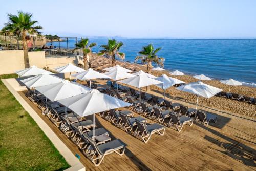 a row of white umbrellas and chairs on the beach at White Olive Elite Rethymno in Sfakaki