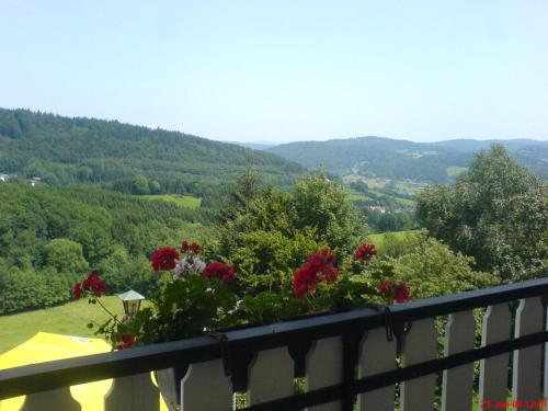 een balkon met uitzicht op de bergen bij Monteur Handwerker Unterkunft Zimmer Mini Wohnung Bayern WLAN in Perlesreut