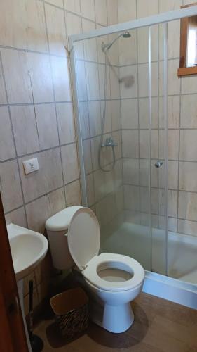 La salle de bains est pourvue de toilettes, d'une douche et d'un lavabo. dans l'établissement Don Agustín, à Lago Ranco