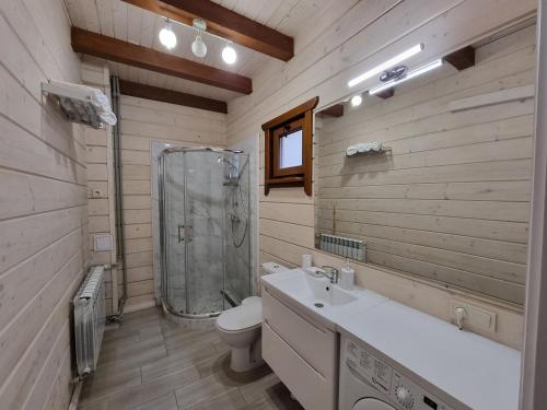a bathroom with a shower and a sink and a toilet at КОТТЕДЖ У МОРЯ in Chornomorsk