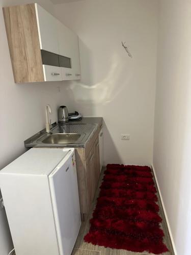 una pequeña cocina con fregadero y alfombra roja en Apartman2, en Podgorica