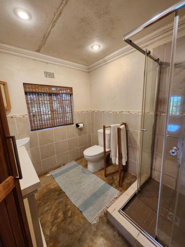 Softwaters Farm Guesthouse في لويس تريشارد: حمام مع دش ومرحاض