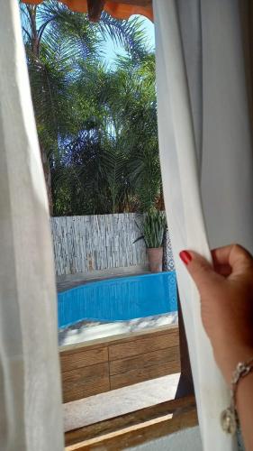 uma pessoa olhando para fora de uma janela para uma planta em Casa Nobre em Pirenópolis