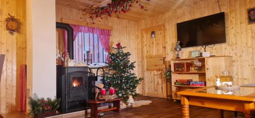 ein Wohnzimmer mit einem Weihnachtsbaum und einem Kamin in der Unterkunft Chaloupka U Matušků in Varnsdorf