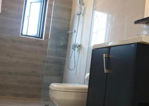 a bathroom with a shower and a toilet and a window at The cozy standard studio in Madina