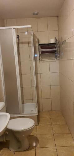 uma casa de banho com um chuveiro, um WC e um lavatório. em Kwatery pracownicze em Tomaszów Mazowiecki