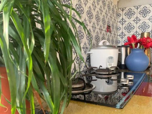 a kitchen counter with a stove and a tea pot at Laman Zavilla Dhoma 1 in Sungai Pelik