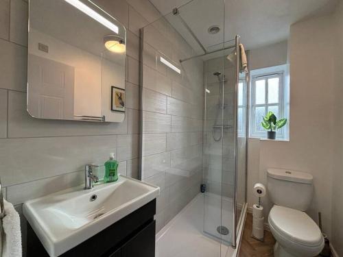 een badkamer met een wastafel, een douche en een toilet bij 2 Bed House Nr Shrewsbury Hospital in Bicton