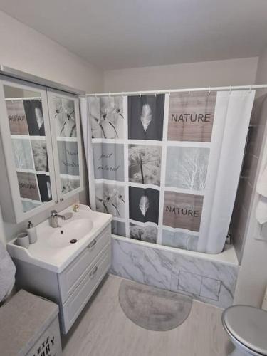 une salle de bain avec un lavabo et un miroir dans l'établissement Apartment at only a few steps from Stade de France and 10 min from RER-B, à Saint-Denis