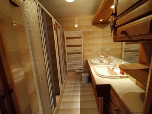 uma pequena casa de banho com lavatório e WC em La Ferme à Louis em Courchevel